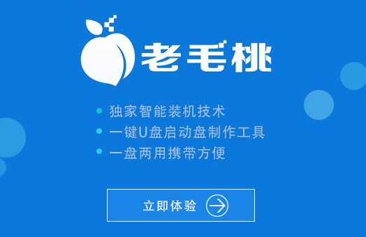 啟動盤