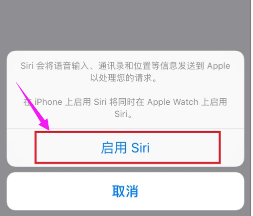 蘋(píng)果